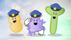 Kakav mi je imunitet? Čudesan!