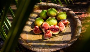 Top 5 voća i povrća ovog ljeta